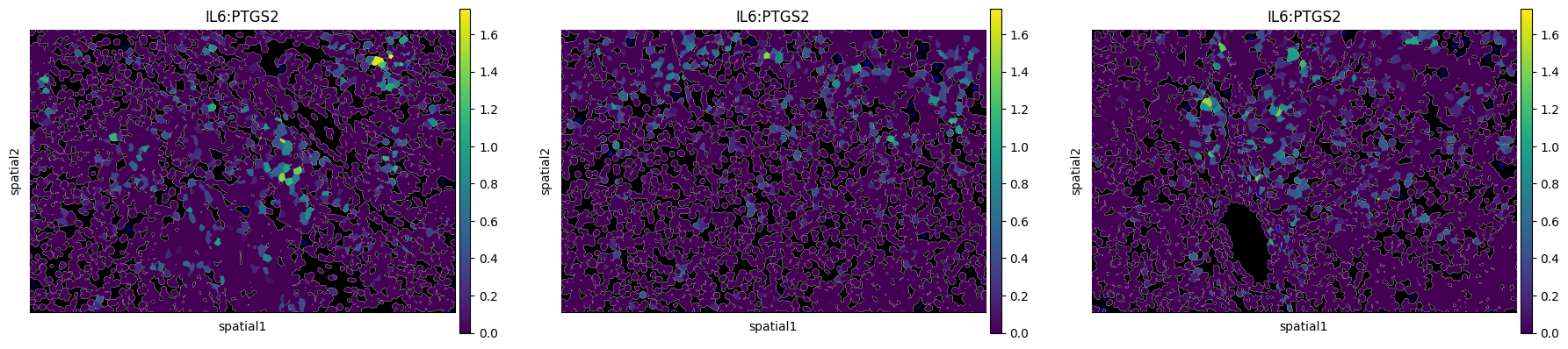../_images/notebooks_renoir_cosmx_tutorial_9_0.png