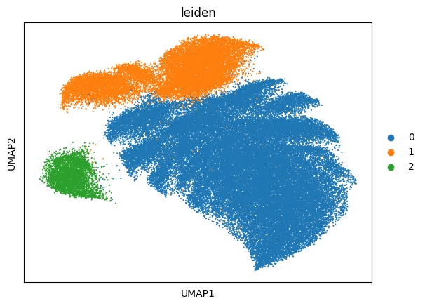 ../_images/notebooks_renoir_cosmx_tutorial_15_0.png
